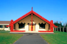 See the Maori village at Rotowhio marae